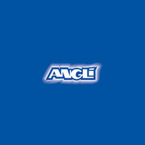 Recanvis ANGLI