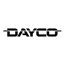 Recanvis DAYCO