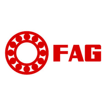 Recanvis FAG