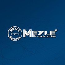 Recanvis MEYLE