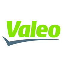 Recanvis VALEO